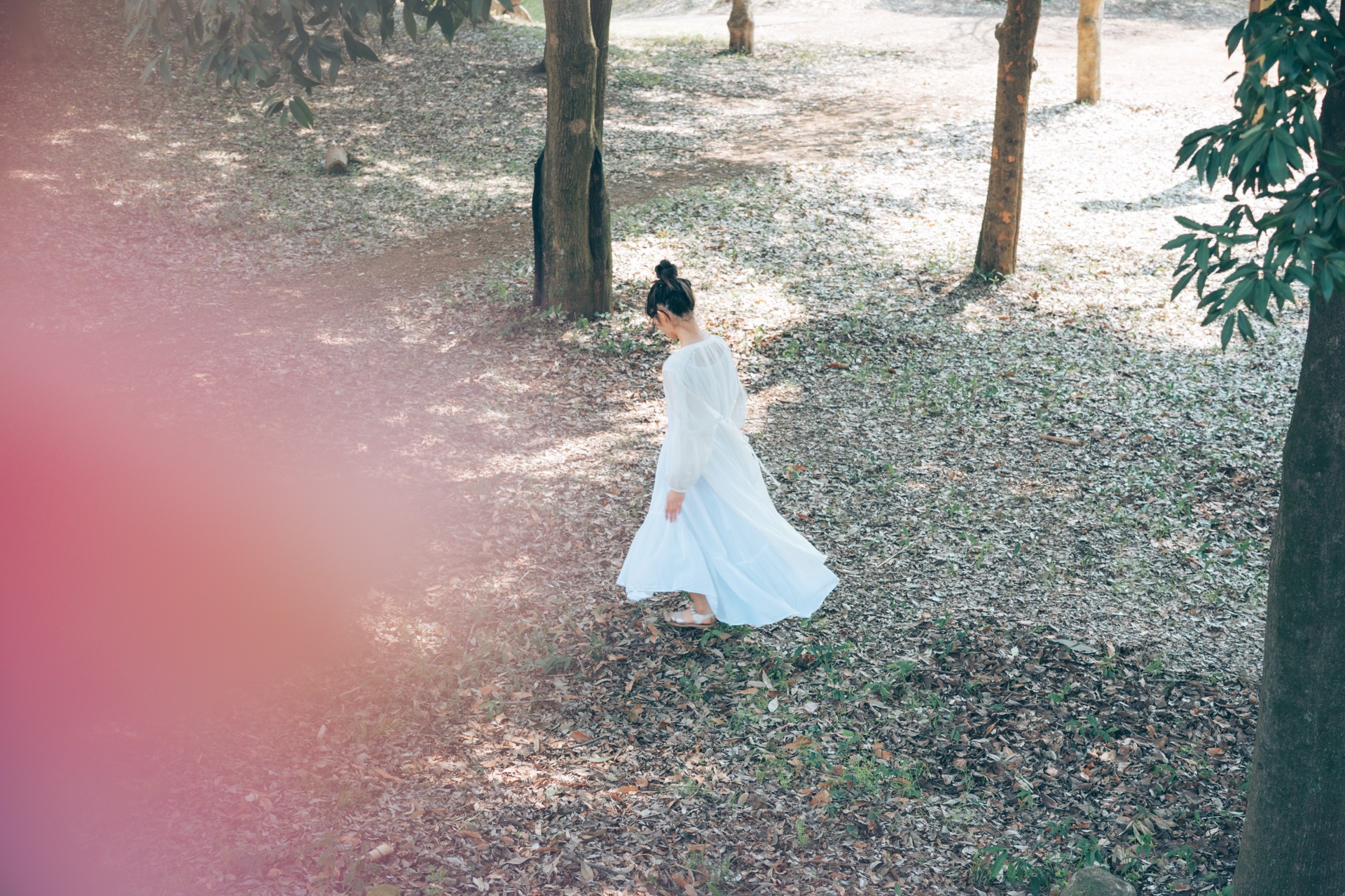 雨夜の星をさがして