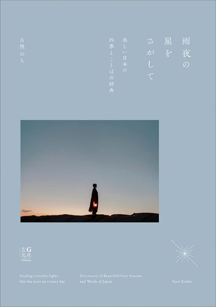 雨夜の星をさがして